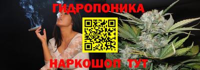 наркотики Будённовск