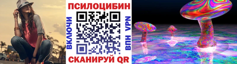 купить наркоту  Нижнеудинск  Псилоцибиновые грибы Psilocybine cubensis 