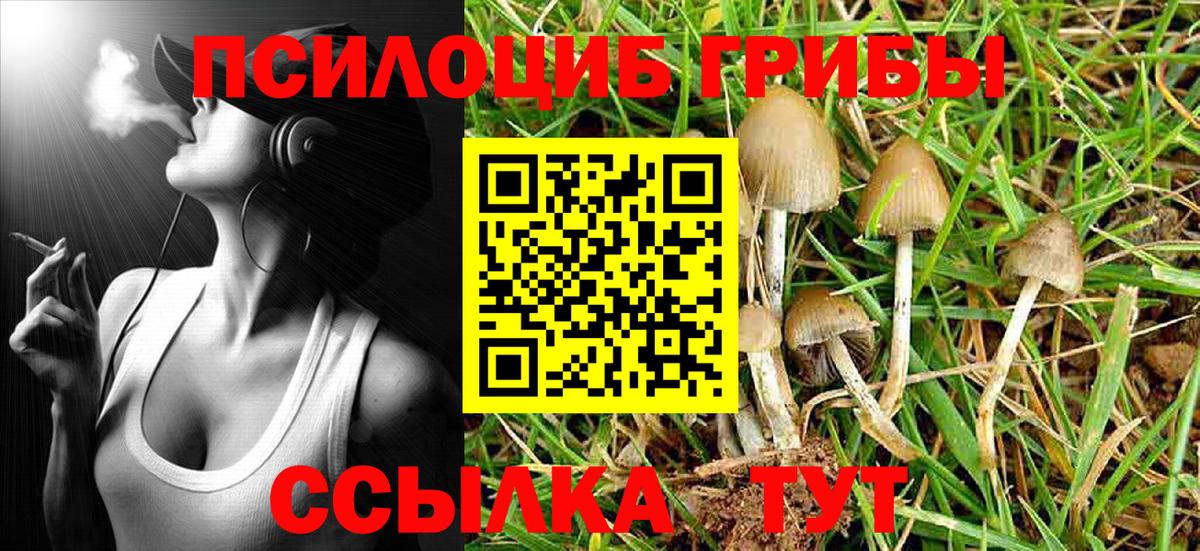 Галлюциногенные грибы Psilocybe  купить  сайты  Нижнеудинск  Вход с VPN 