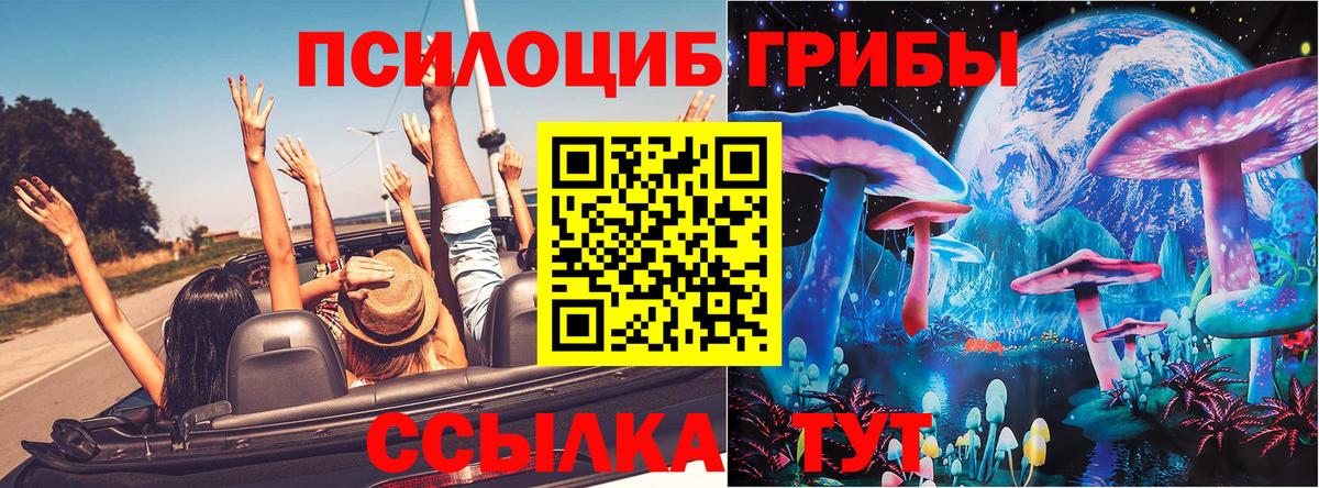 Галлюциногенные грибы Psilocybine cubensis Нижнеудинск