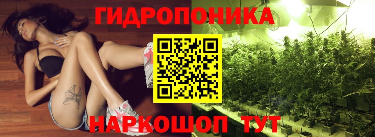 Шишки марихуана Ganja Нижнеудинск